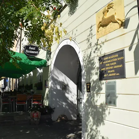 Akzent Goldner Hirsch Hotel Kamenec