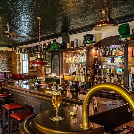 Akzent Goldner Hirsch Kamenz